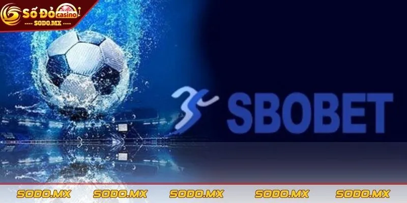 Kinh nghiệm chơi Sbobet tại nhà cái SODO