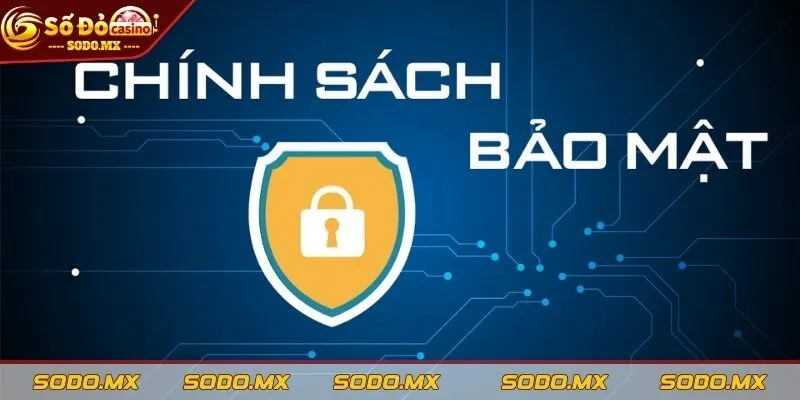 Chính sách thông tin thu thập