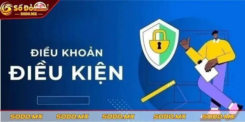 Quy định trong việc thiết lập tài khoản