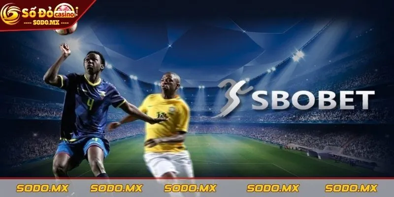 Ưu điểm khi tham gia sảnh Sbobet trong năm