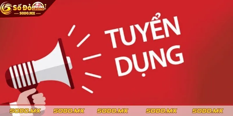 Nhà cái có môi trường làm việc chuyên nghiệp